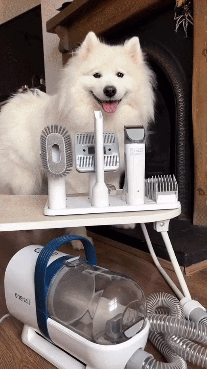 Groomer + Vacuum in One — Remove Hair Fast, No Mess. 2.3L capacity. Pet hair vacuum